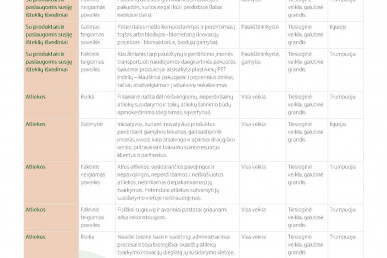 0029_groward_group_tvarumo_ataskaita_2024_page_29_1781511284-4db97105408b3f8ed18f2372160111d0.jpg